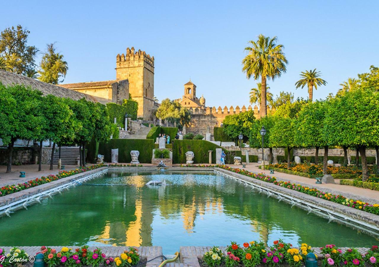 *New* Cerca De La Mezquita Appartement Córdoba Buitenkant foto